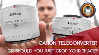 Canon Teleconverter - or should you just crop your image?