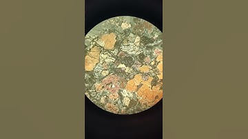 peridotite rock in thin section