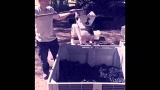 Vintage 2015: Vista Flores, Mendoza, Argentina.