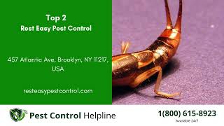 Top 3 Pest Control in Ashland