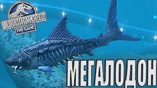 видео: ЗАКУПКА НА 100К ДНК / ВЫВЕЛ МЕГАЛОДОНА 40 УРОВНЯ Jurassic World The Game (#102) картинка: ЗАКУПКА НА 100К ДНК / ВЫВЕЛ МЕГАЛОДОНА 40 УРОВНЯ Jurassic World The Game (#102)