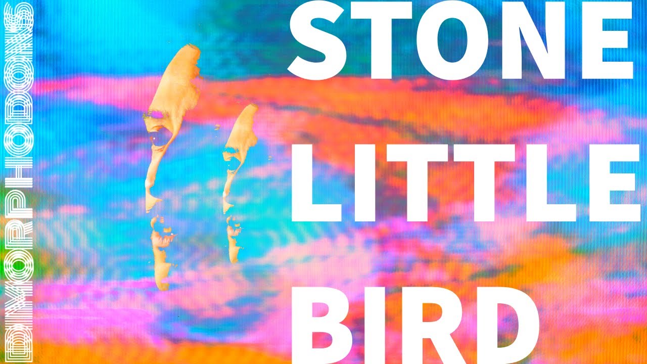 DIMORPHODONS - STONE LITTLE BIRD (Official Video)