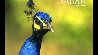 Sabar - Alarm Me.wmv