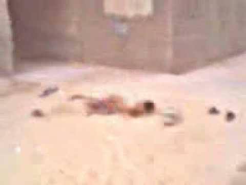 كسيس المصري