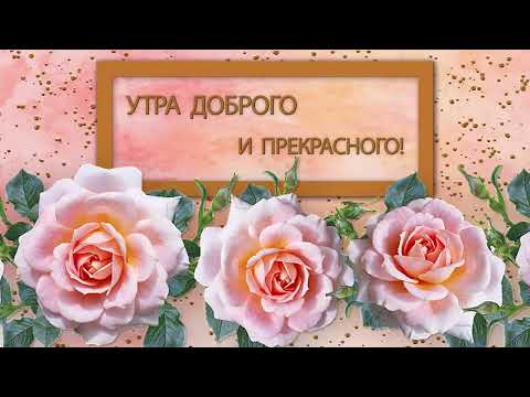 ✅Утра доброго и прекрасного!✅ #доброеутро #доброеутровидео