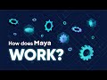 How Maya Works