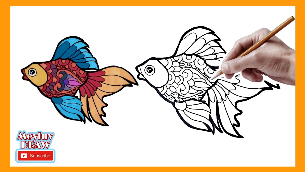 Cara Menggambar Kucing Hewan Fauna Dengan Mudah Youtube