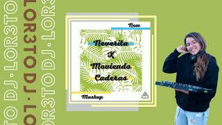 Neverita x Moviendo Caderas (MASHUP) | Bad Bunny x Yandel x Daddy Yankee (Extended LOR3TO Dj)