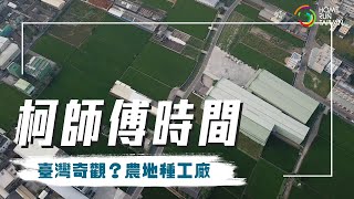 【柯師傅時間｜臺灣奇觀？農地種工廠 🏭】