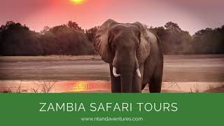 Zambia Safari Holidays Ntanda Ventures
