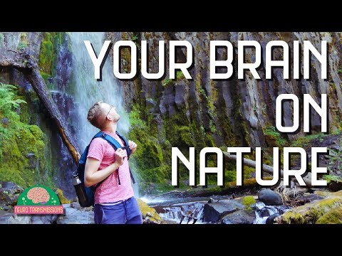 Why nature is good for your mental health