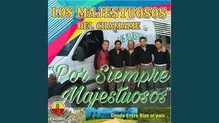 Video thumbnail of "Los Majestuosos Del Chamamé - Enganchados 1: La Carcel de Sing Sing / Por Amarte Tanto / El Preso No. 9"