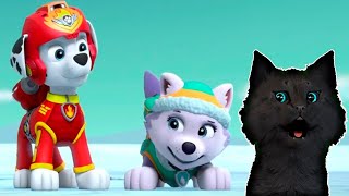 видео: СУПЕР КОТ И СУПЕР СОБАКИ СПАСАЕМ ОБЕЗЬЯНКУ МЭНДИ ИЗ ВУЛКАНА #6 🐱 Mighty Pups Save Adventure Bay #231 картинка: СУПЕР КОТ И СУПЕР СОБАКИ СПАСАЕМ ОБЕЗЬЯНКУ МЭНДИ ИЗ ВУЛКАНА #6 🐱 Mighty Pups Save Adventure Bay #231