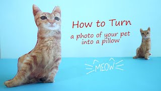 DIY: How To Turn a Photo Of Your Pet Into a Pillow