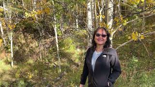 Peak to Peak Scenic Byway in Colorado