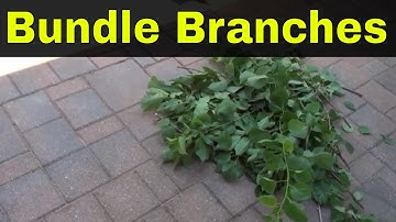 How To Bundle Branches With Twine-For Pickup-Tutorial
