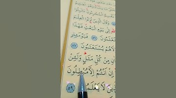 سورة الروم الأية 58 إلى 60 بصوت سعد الغامدي