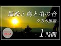 【風鈴と鳥と虫の音 】夕方の風景【作業用BGM/勉強用BGM/仕事用BGM/睡眠用BGM/ASMR】集中力高める音楽 Japan Wind chimes birds and insect sounds