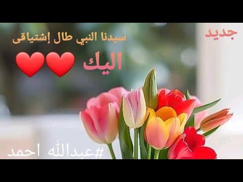 سيدنا الن بى طال إشتياقى لصحبتك جديد