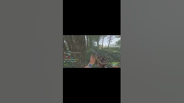 POV: you know how to snowball (rust, rustshorts)