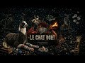 Le chat dort -  alternative pop, cinematic indie pop, funk-pop
