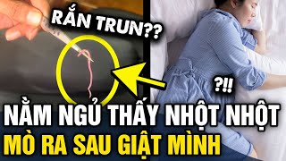 Đang nằm trên giường, bà bầu GIẬT MÌNH phát hiện con rắn nhìn không khác gì CON GIUN | Tin 3 Phút