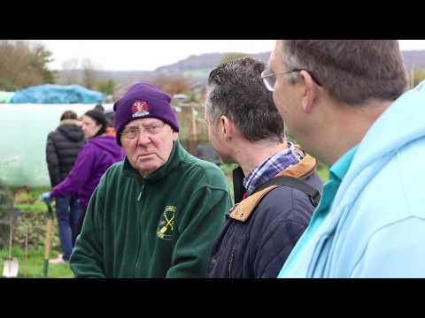 Community Spaces - Saintbridge Community Allotments