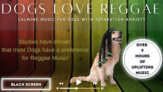 Dogs LOVE Reggae! Dog, Relaxing, Puppy, Reggae Variety over 9 hours