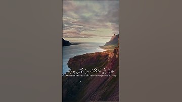 حسين البديري / #quran #الشحات_أنور #الشيخ #القارئ #اسلام_صبحي مقام الراست مقام الرست rast