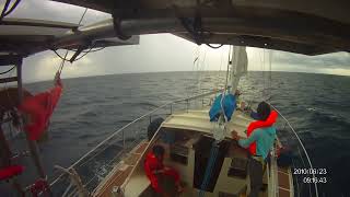 Homework on high seas,live of Chinese sailing family