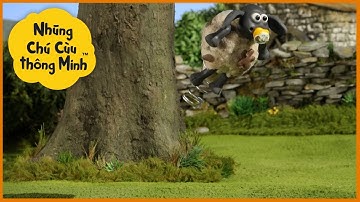 Những Chú Cừu Thông Minh 🐑 Mùa 2 phần 10 Tập đầy đủ