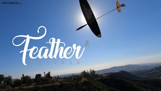 Feather Squared Ridge Soaring Feather Squared Ridge Soaring