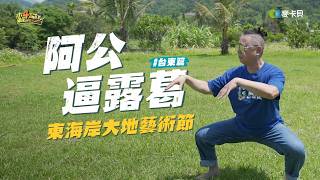 《阿公逼露葛》阿公說這裡hen~美! 手刀安排一起來玩一夏了啦!! ft.東海岸大地藝術節🌊