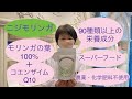 モリンガの葉100%『ニジモリンガ』