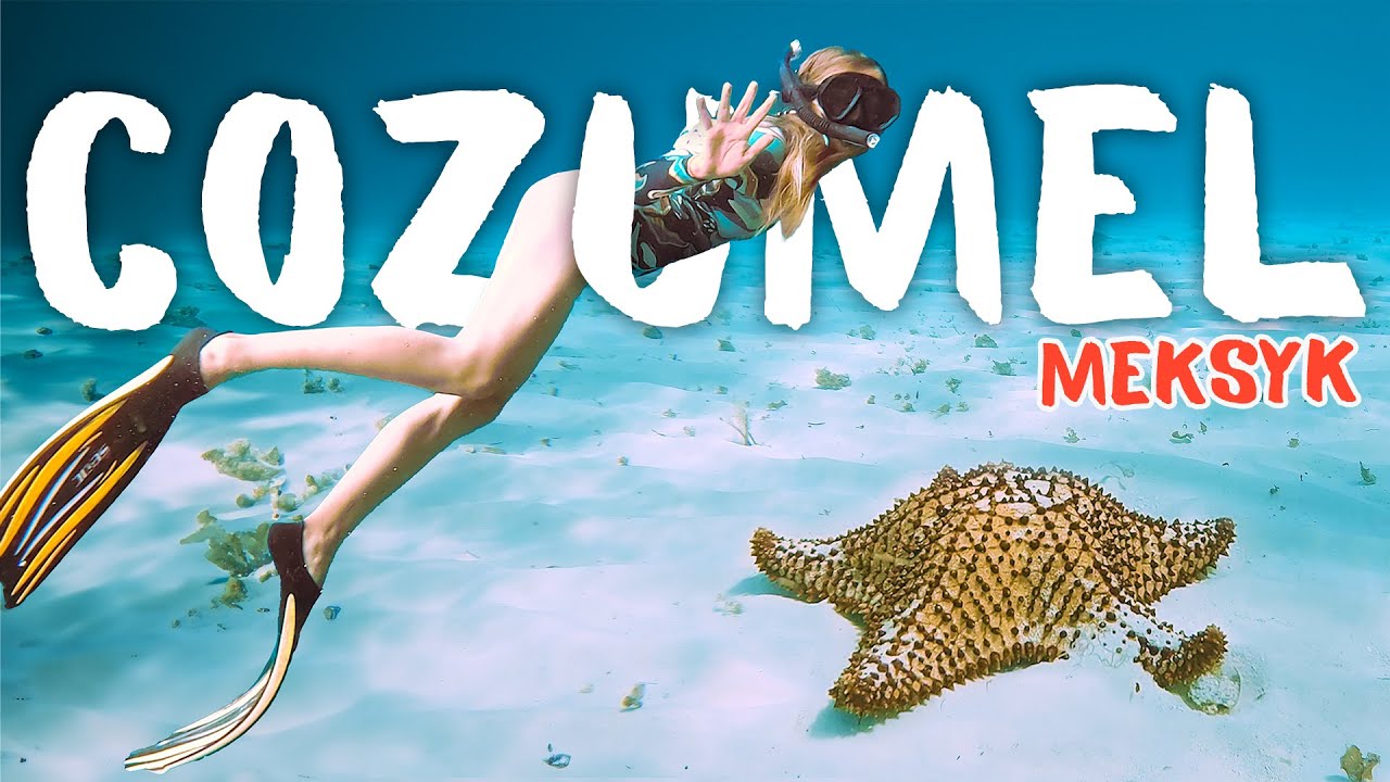 Co zobaczyć na wyspie Cozumel? 🏖️🦩🛳️ Meksyk 🇲🇽