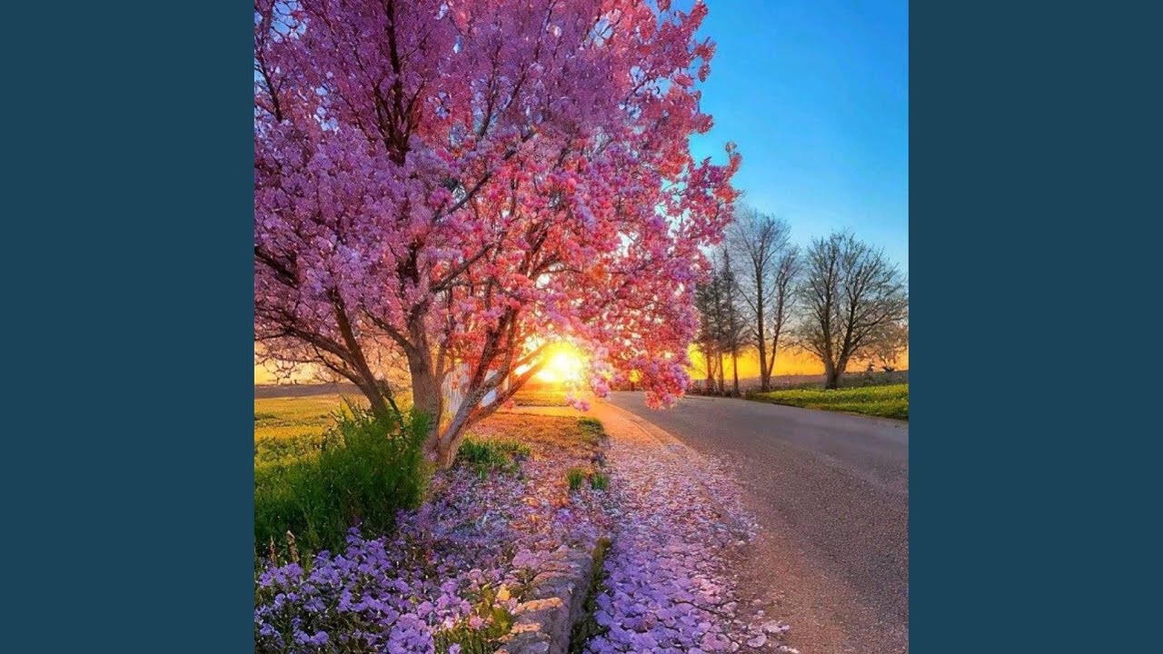 在 YouTube 上觀看「Springtime」 在 YouTube 上觀看「Springtime」
