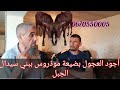أجود العجول بضيعة موذروس ببني سيدال الجبل 24 يونيو 2023 وفريق ANOZA ديماريف يقربكم أكثر 0670550005 أجود العجول بضيعة موذروس ببني سيدال الجبل 24 يونيو 2023 وفريق ANOZA ديماريف يقربكم أكثر 0670550005