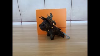 louis vuitton dog keychain unboxing+review 