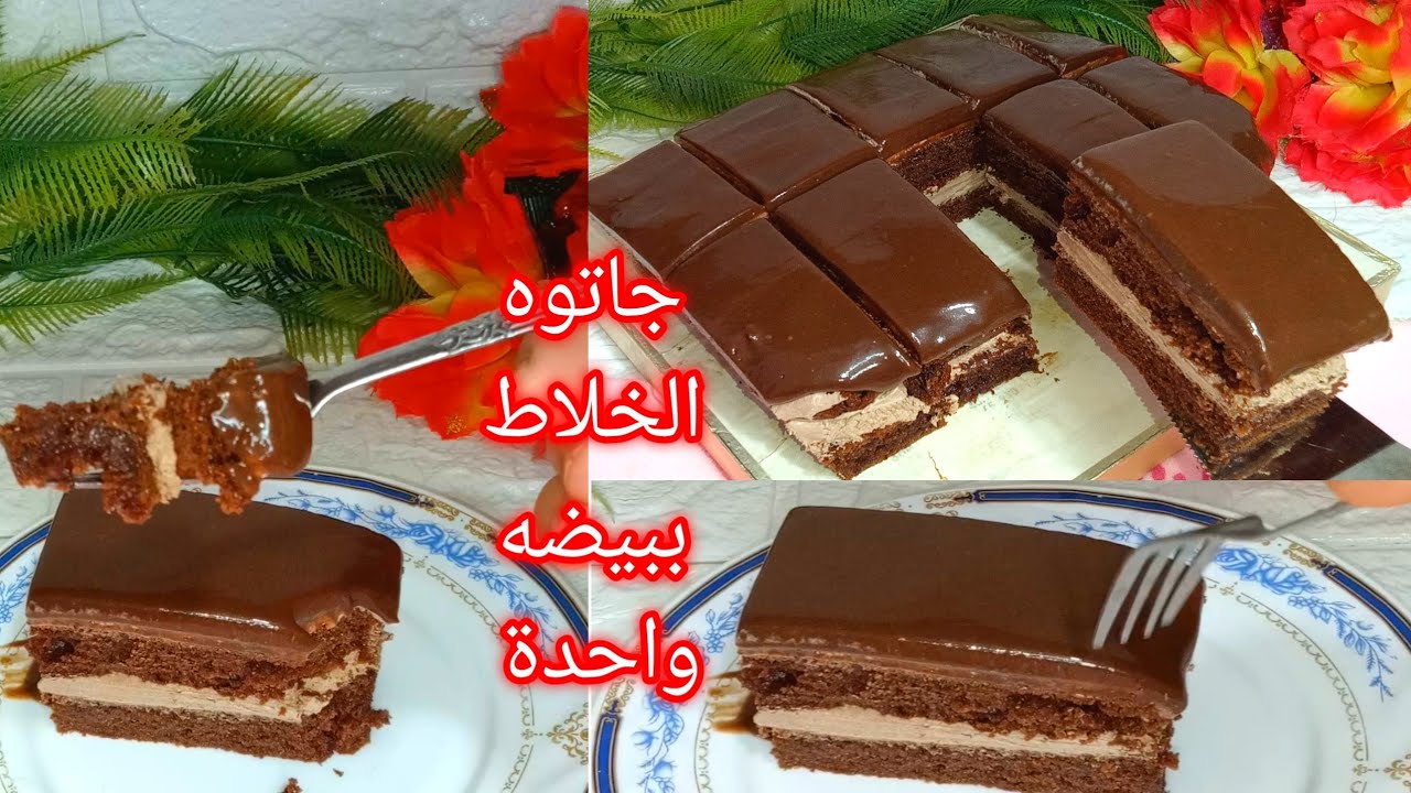 جاتوه الخلاط السريع 