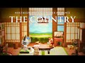 【あつ森BGM】夏の終わり、田舎に帰る🌿故郷を思い出すような切ないピアノ音楽と環境音[夏の虫の鳴き声・花火] で心を穏やかに piano+ambience｜途中広告なし｜作業用・勉強用BGM
