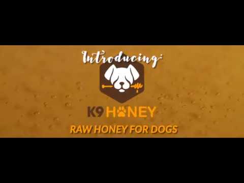 k9-honey-for-dogs---natural-health-benefits-of-honey-for-your-dog