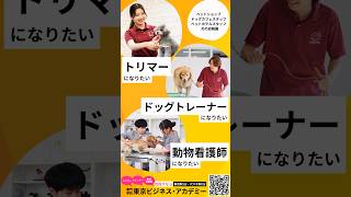 トリマー✁🎀ドッグトレーナー🐶動物看護師🏥 目指すなら、東京ビジネス・アカデミー #駅近 #徒歩0分