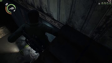 Skip Lily Investigation (Chapter 3)