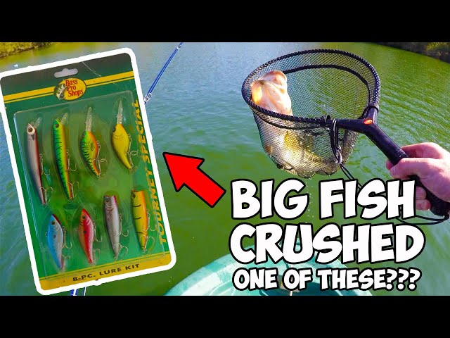 $20 Bass Pro Shop Lure Starter Kit SLAM! BIG FISH ALERT! 