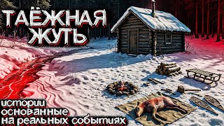 видео: В этой ТАЙГЕ происходит НЕЧТО НЕОБЪЯСНИМОЕ. Рассказы Сибиряков. Мистические Страшные Истории на ночь картинка: В этой ТАЙГЕ происходит НЕЧТО НЕОБЪЯСНИМОЕ. Рассказы Сибиряков. Мистические Страшные Истории на ночь