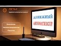 Денежный Автоматизатор от Адаева Евгения и проект START PULSE. Честный отзыв.