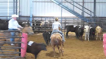 Candlerey 5-4-13 RSNC #6 class - on 10 head - Valley View Ranch