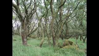 The Otherworld