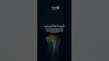 سورة لقمان #المنشاوي