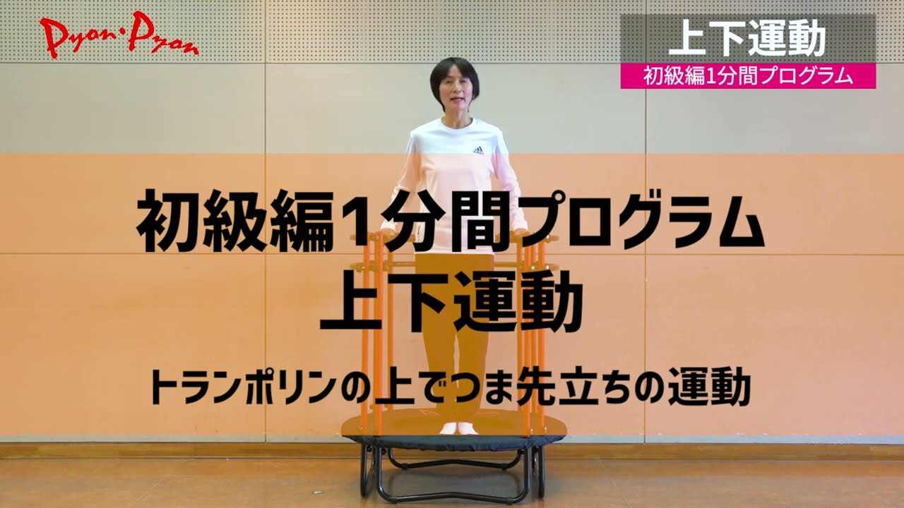 エキサイティングビヨンビヨントランポリンサスペンション Kowa FORK KOWA